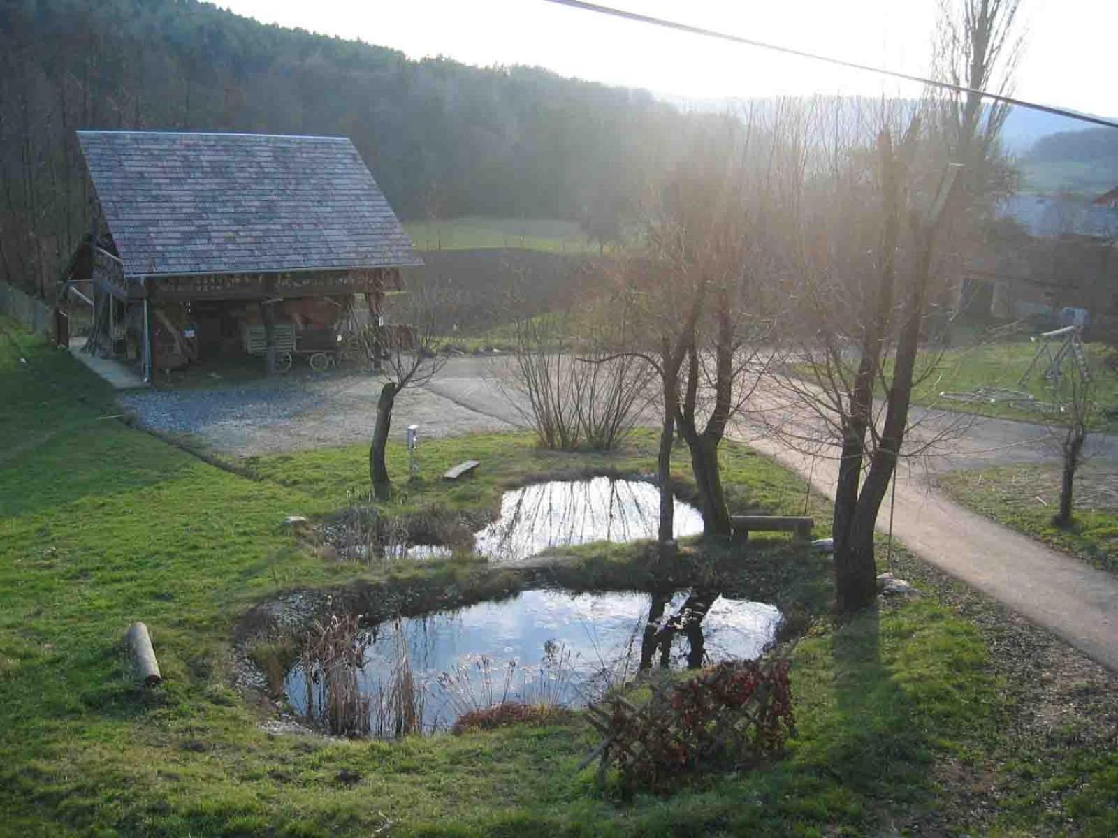 RogašovciTuristicna Kmetija Cebelji Gradicアパートメント エクステリア 写真